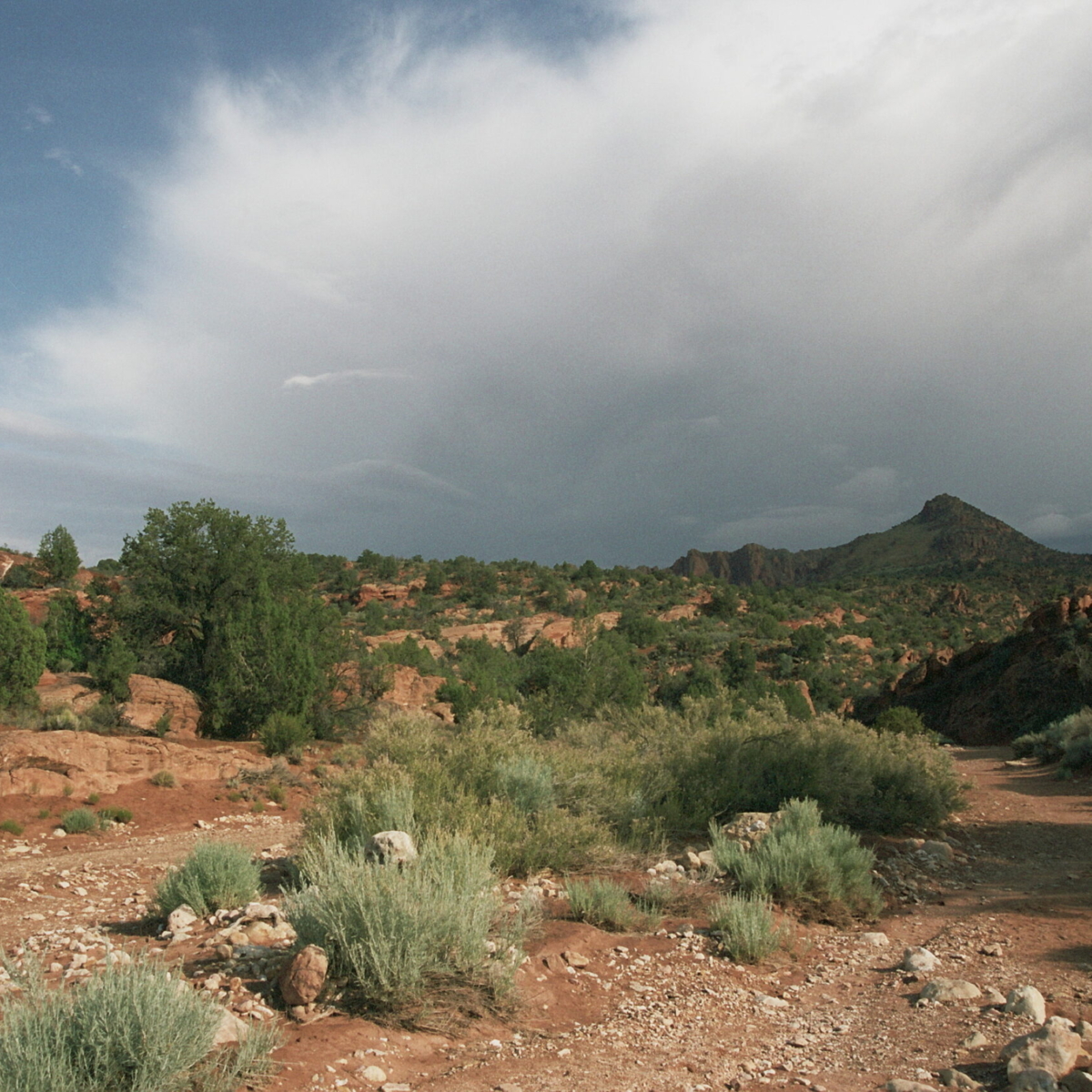 Autosave-File vom d-lab2/3 der AgfaPhoto GmbH