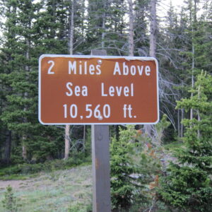 1539
