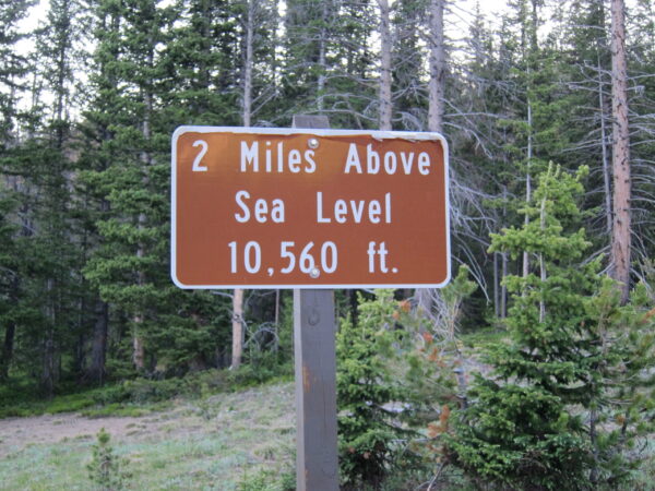 1539