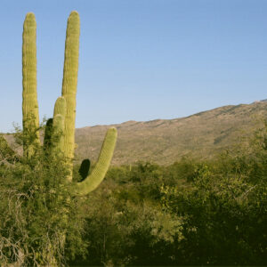 502